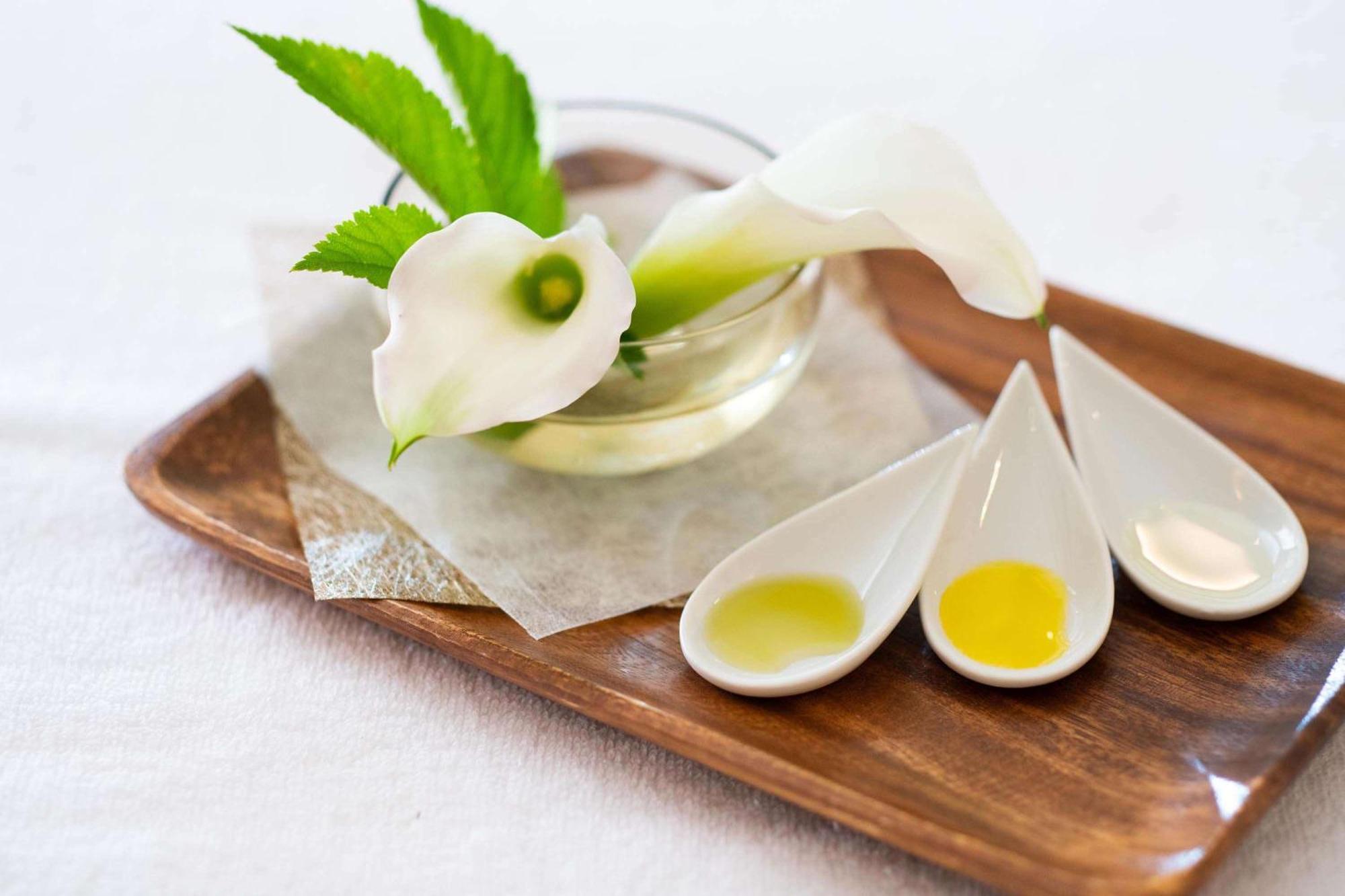 箱根凯悦Spa度假酒店 外观 照片